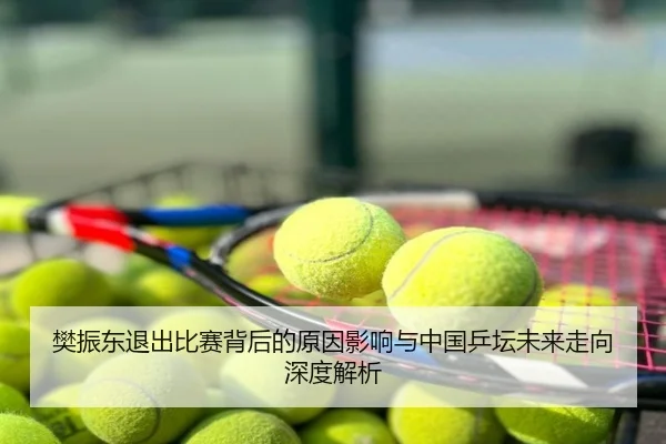 樊振东退出比赛背后的原因影响与中国乒坛未来走向深度解析
